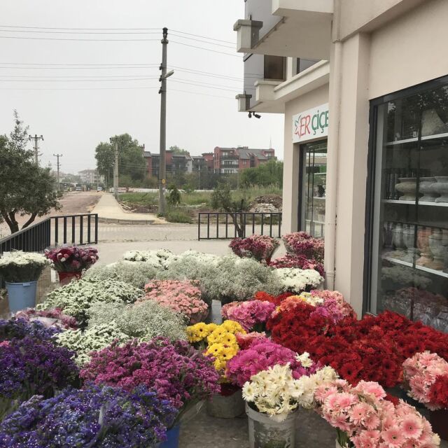 Instagram gönderisi 17938990411051726